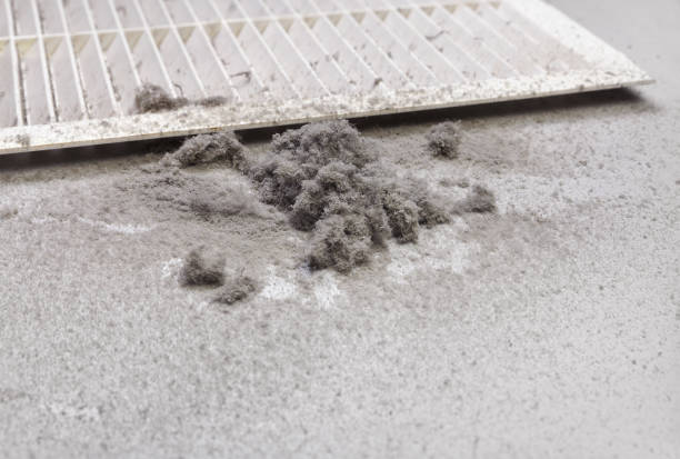 Affordable HVAC Duct Cleaning in Sheffield, IA